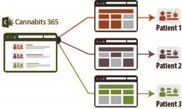 Personalized Content feature image Personalized Content graph of content variations going to specific patients