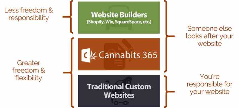 Graph comparing the advantages of Cannabits 365 over website builders or traditionally developed websites